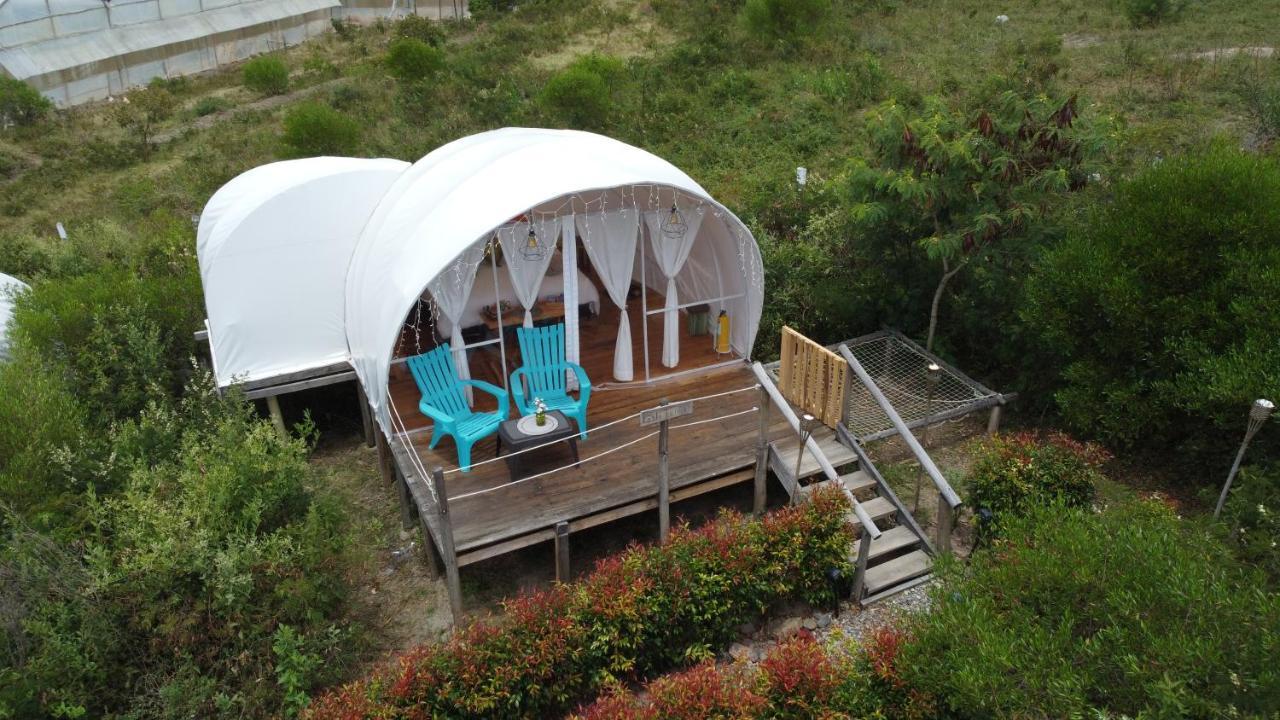 Origen Glamping En De Leyva 豪華帳篷
